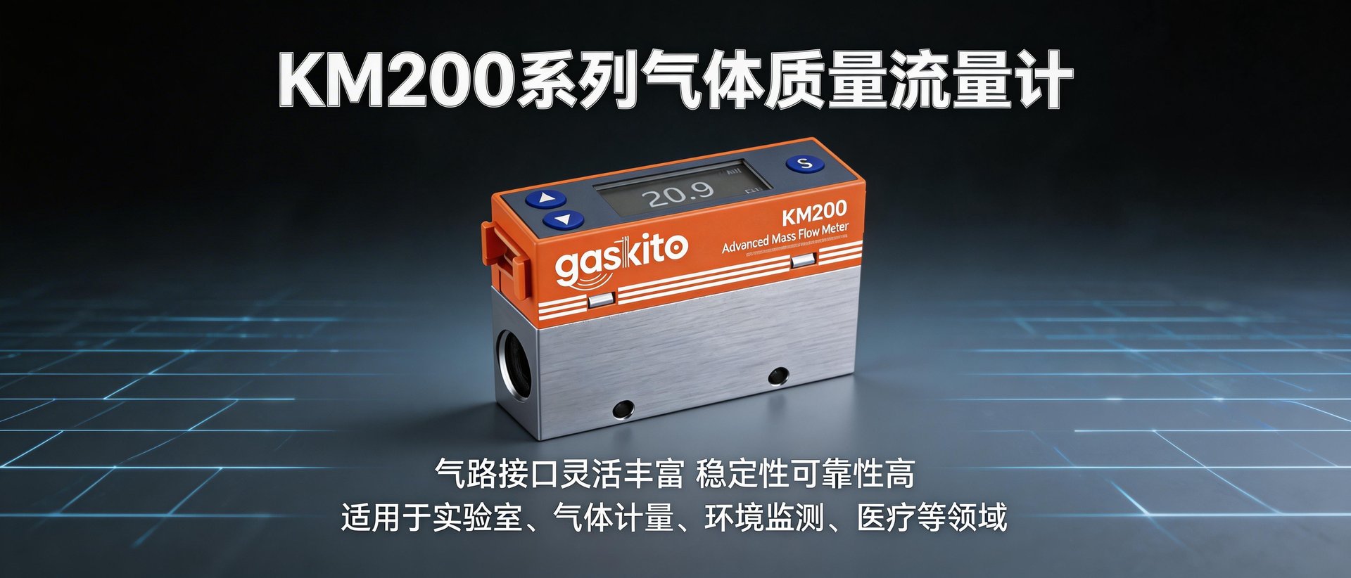 气体质量流量计